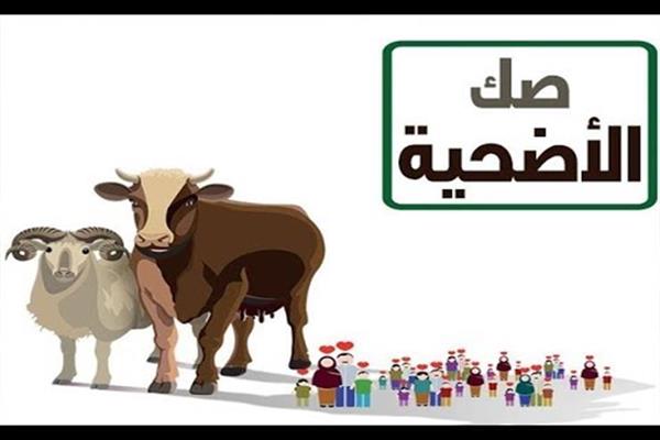 هل صحكوك الأضحية لها نفس ثواب النحر؟