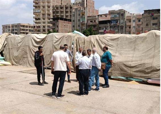 اللجنة المركزية بالغربية تتابع توريد القمح بشونة الفاخر بالمحلة الكبرى