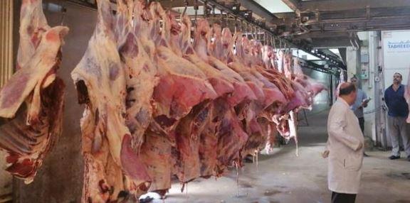 بيطرى الوادي الجديد: ذبح 875 رأس من الأضاحى طوال أيام العيد