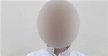 القبض على المتهم بنشر فيديو مزعوم عن قتل قطة فى مصر