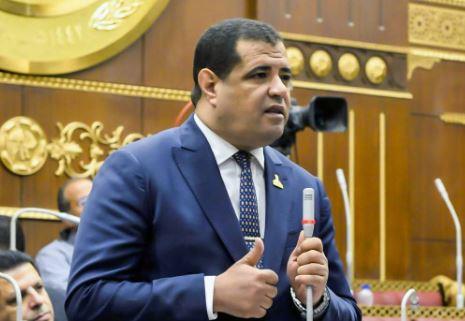 عضو بالشيوخ : بيان وزارة الخارجية قوي ويؤكد ثوابت الدولة المصرية الداعمة للقضية الفلسطينية