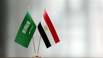   مجلس الوزراء: الربط الكهربائي مع السعودية نقطة انطلاق مصر كمحور إقليمي للطاقة