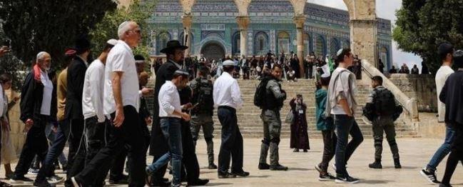 مئات المستوطنين يقتحمون باحات "الأقصى" بحماية شرطة الاحتلال الإسرائيلي