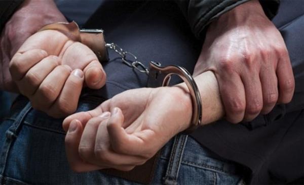 القبض على شخص يدير كيانًا تعليميًا وهميًا بالقليوبية