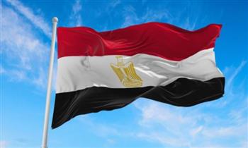   مصر تدين الهجوم الإرهابي فى النيجر
