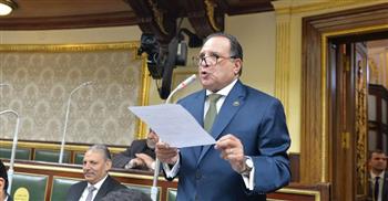   أبو هميلة: استقرار سعر الصرف والقضاء على السوق الموازية ساهم في زيادة تحويلات المصريين بالخارج