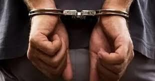 حبس السائق المتسبب في مصرع 19 شخصًا على الطريق الإقليمي بالمنوفية