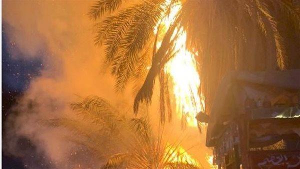 الحماية المدنية تنجح في السيطرة على حريق نشب بنخل بمزلقان قليوب
