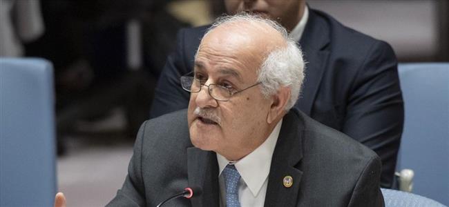 رياض منصور: أدعو الصحفيين ووسائل الإعلام للذهاب إلى قطاع غزة لمشاهدة مدى وحشية الاحتلال