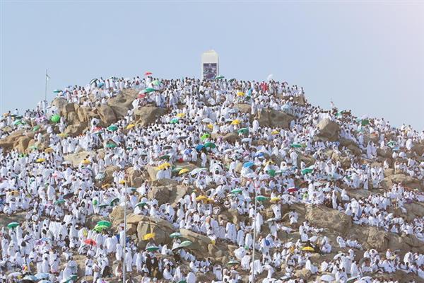 ضيوف برنامج خادم الحرمين الشريفين للحج يستقرون في مشعر عرفات