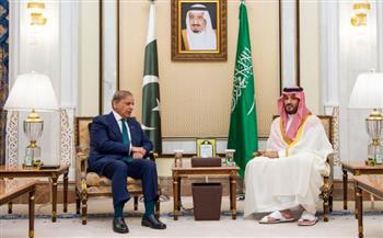   ولي العهد السعودي ورئيس الوزراء الباكستاني يبحثان آفاق التعاون الثنائي والتطورات الإقليمية