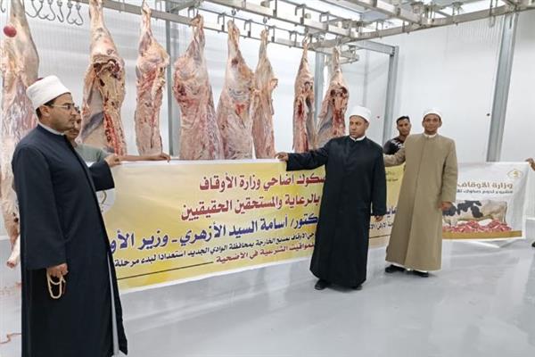 لليوم الثاني على التوالي.. تواصل عمليات ذبح أضاحي الأوقاف بإشراف بيطري متخصص