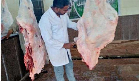 مدير "الطب البيطري" بالوادي الجديد: ذبح 104 رؤوس حيوانات في ثالث أيام العيد
