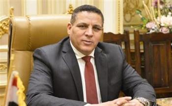   أحمد محسن: "30 يونيو" تجسيدا حقيقيا لإرادة المصريين