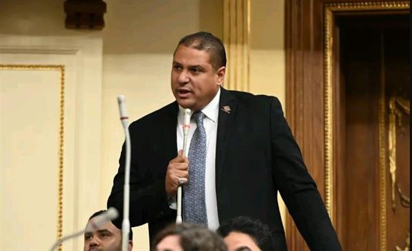 نائب التنسيقية: لا يمكن أن نصدر أي قانون يمس الملايين من المصريين بدون بيانات دقيقة