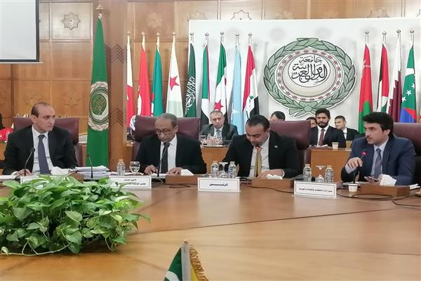 السفير محمدى النى: مصر قدمت كافة أشكال الدعم لإنجاح عمل المؤسسات العربية .