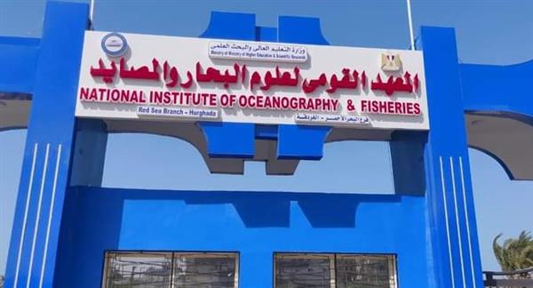 علوم البحار: ارتفاع حرارة المتوسط تحد بيئي يتطلب تحركا علميا ومجتمعيا