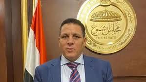 أحمد محسن: وعي المصريين صمام الأمان لاستقرار الدولة وتقدمها.. وانتخابات الشيوخ تمثل لحظة فارقة
