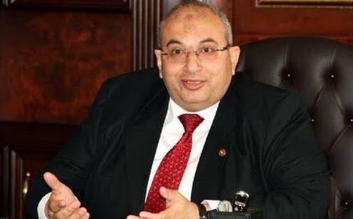 جمعية الخبراء: الحوافز الضريبية تساهم في تحويل مصر إلى ثالث أكبر منتج في العالم للحرير الطبيعي