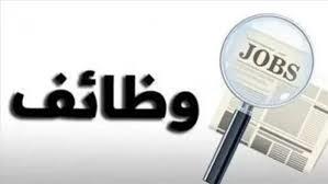   براتب 7500 جنيه.. «العمل» تعلن عن 190 وظيفة جديدة للشباب