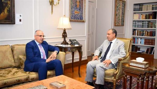 وزيرا الخارجية والري يؤكدان سعي مصر لتحقيق التنمية في دول حوض النيل الشقيقة