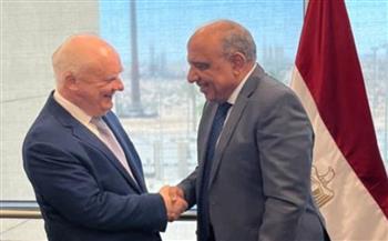 وزير الكهرباء يجتمع بالنائب الأول لمدير عام المؤسسة الحكومية الروسية للطاقة الذرية