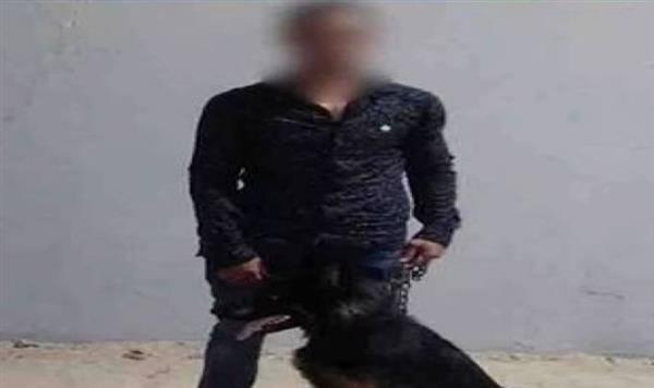 كشف ملابسات فيديو يتضمن قيام شخص بممارسة أعمال البلطجة بالإسماعيلية