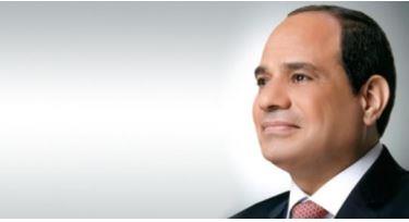 رسالة خطية من الرئيس السيسي لنظيره النيجيري يسلمها وزير الخارجية