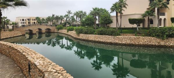 ظفار في الخريف .. لوحة من الضباب والسحب والمروج الخضراء في جنوب عمان