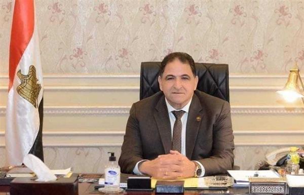 النائب سامي سوس: التجمهر أمام السفارات المصرية عمل مشبوه يخدم أجندات معادية