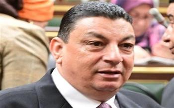   سامي نصر الله: الدولة المصرية تواصل دعمها لـ غزة رغم محاولات التشويه