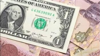   استقرار سعر الدولار أمام الجنيه اليوم