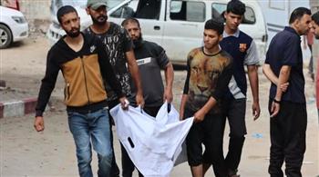   استشهاد 7 فلسطينيين في قصف إسرائيلي على منتظري المساعدات بقطاع غزة