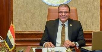   المهندس البديوي السيد: مشاركة المصريين بالخارج فى انتخابات "الشيوخ" واجب وطني 