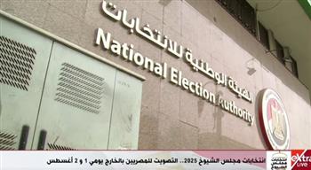 "الهيئة الوطنية" تكشف الاستعدادات لانتخابات مجلس الشيوخ في الداخل والخارج