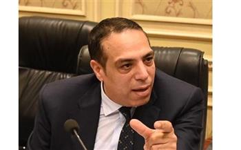   الصافي عبد العال: مصر تسابق الزمن لدعم غزة