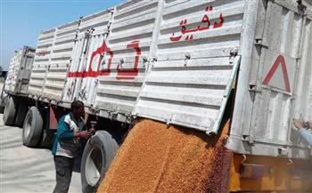   محافظ أسوان: 2ر553 ألف طن إجمالي القمح المورد ضمن موسم الحصاد الحالي
