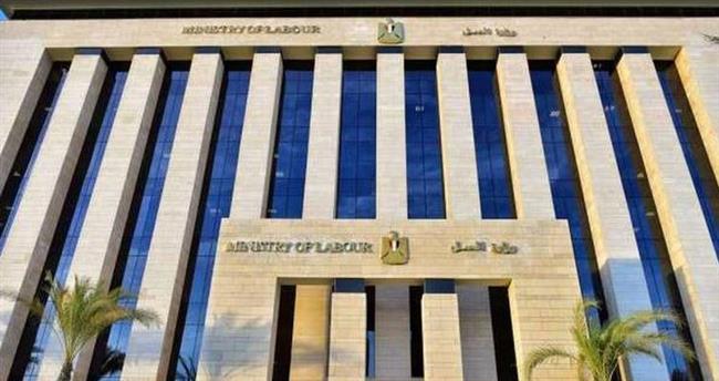 وزارة العمل: 15 فرصة عمل جديدة بالأردن في مجالات تربية الدواجن