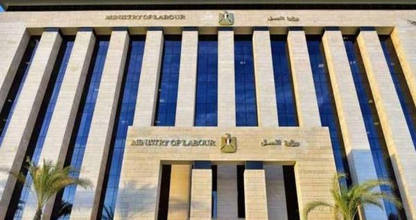 وزارة العمل: 15 فرصة عمل جديدة بالأردن في مجالات تربية الدواجن