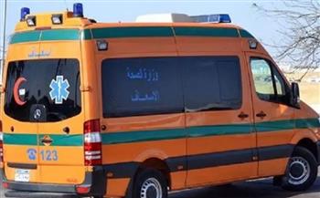   مصرع سيدة وإصابة شقيقتها عقب اصطدام قطار بهما فى المنوفية