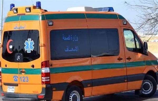 مصرع سيدة وإصابة شقيقتها عقب اصطدام قطار بهما فى المنوفية