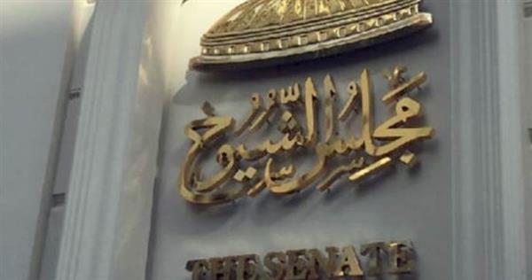 بدء عملية تصويت المصريين في انتخابات مجلس الشيوخ بالسعودية وقطر والكويت والبحرين والعراق