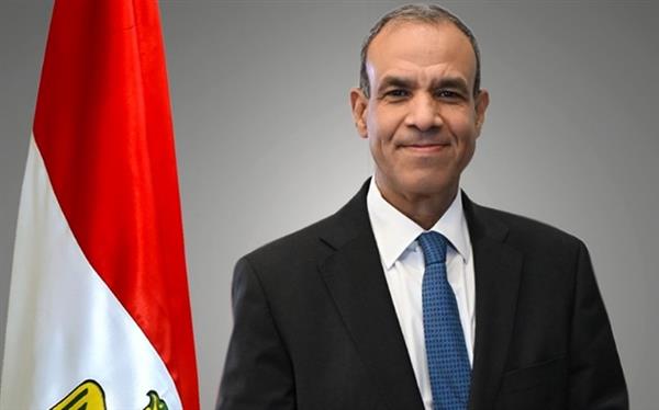 وزير الخارجية: انتخابات مجلسي الشيوخ والنواب ستسهم في تشكيل مستقبل مصر