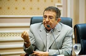   يسري المغازي: دعوات التظاهر أمام السفارات المصرية تخدم أجندات مشبوهة