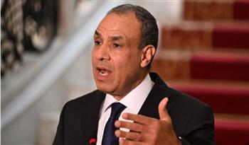   وزير الخارجية: جهود مصر مستمرة من أجل وقف فوري لإطلاق النار وإنفاذ المساعدات بغزة