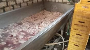 بيطري الجيزة يضبط 38 طن من اللحوم الفاسدة