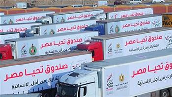   اصطفاف قافلة المساعدات الإنسانية الـ13 تمهيدا لتحركها من مصر إلى قطاع غزة 