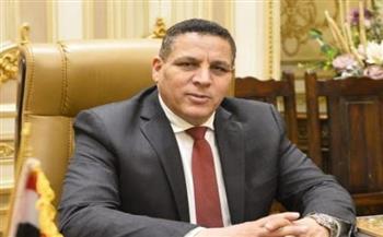  أحمد محسن: مشاركة المصريين في انتخابات الشيوخ انتصار للإرادة الوطنية 