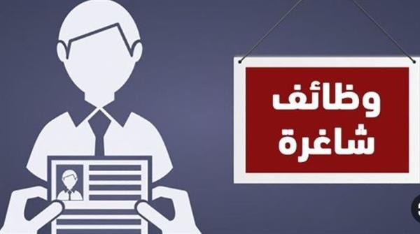 النقل البري تعلن عن 1000 فرصة عمل جديدة للسائقين بالهيئات الحكومية