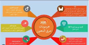   3 هرمونات إذا خرجت عن السيطرة توقف حرق الدهون… حتى مع الدايت والرياضة